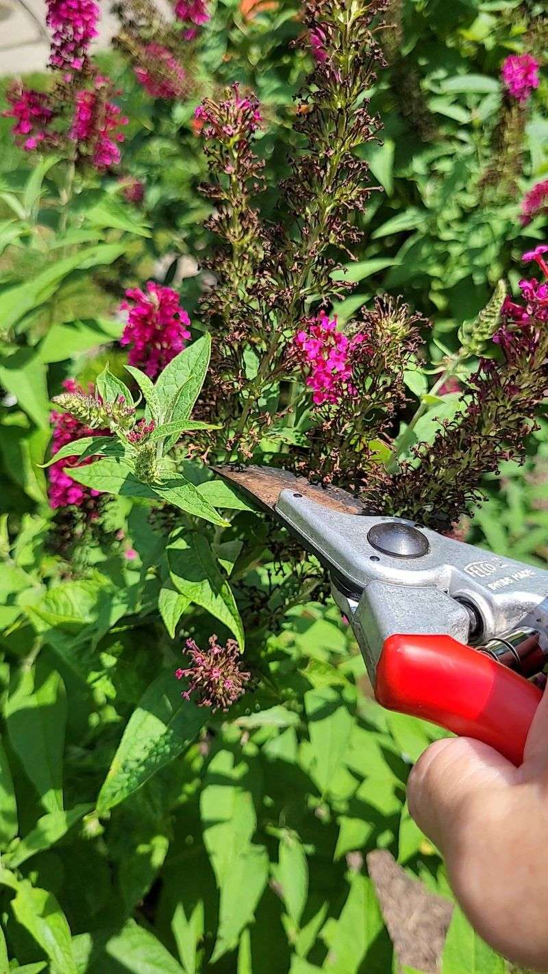 Use fall deadheading only for the job it can do Use fall deadheading only for the job it can do