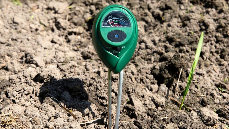 Use lime or sulfur only to correct a tested pH problem