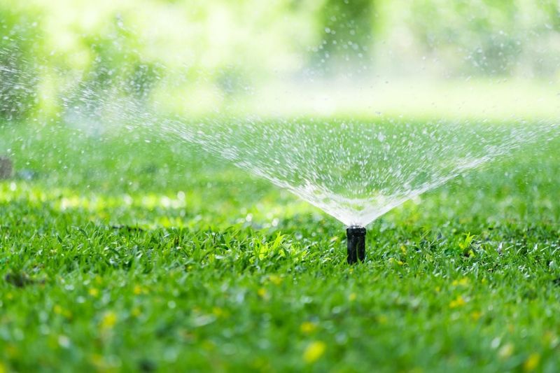 Use measured irrigation to support recovery when soil is dry Use measured irrigation to support recovery when soil is dry