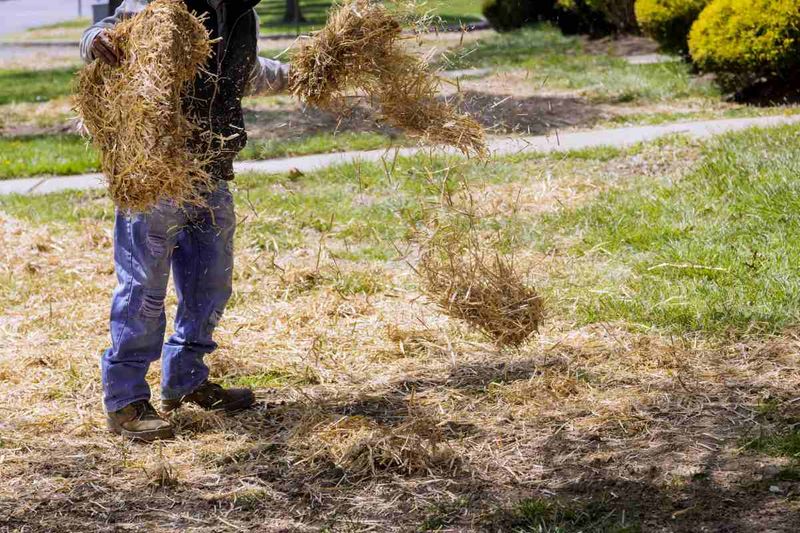 Use mulch carefully and avoid seed-blocking herbicides