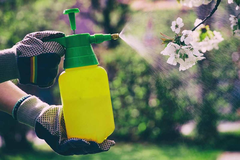Use pesticides only when the problem warrants them