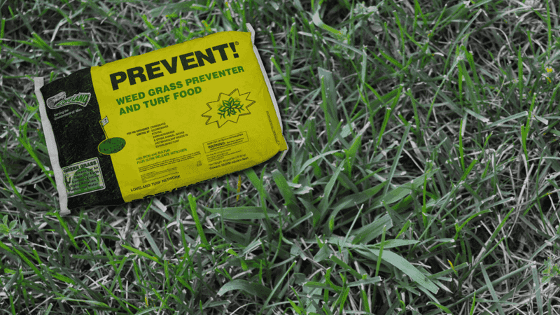 Use prevention before crabgrass germinates