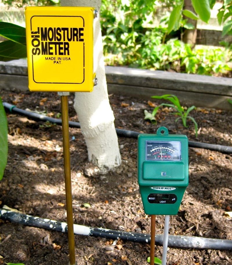 Use root-zone moisture as a clue, not a verdict Use root-zone moisture as a clue, not a verdict