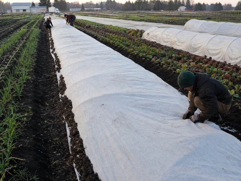 Use row covers only for limited overnight protection