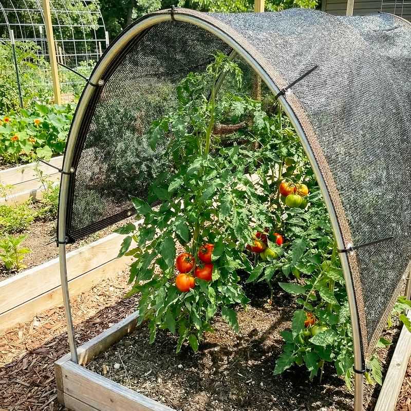 Use temporary shade only when it preserves enough light
