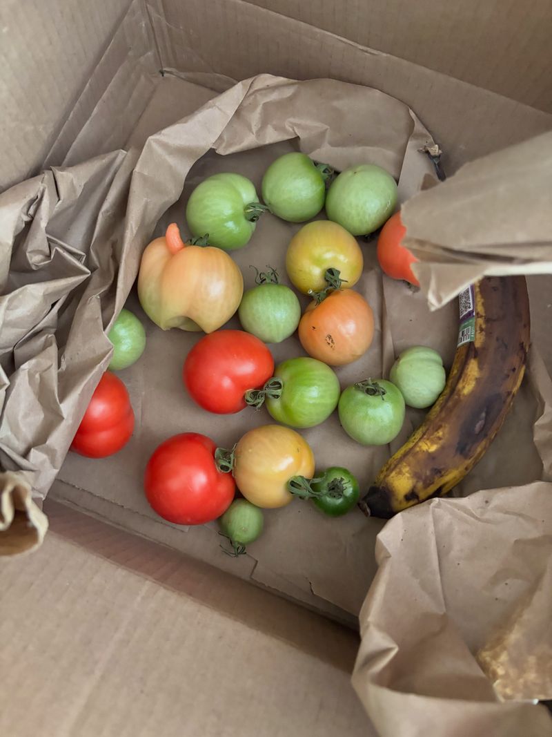 Use the banana as part of a temperature-and-maturity plan