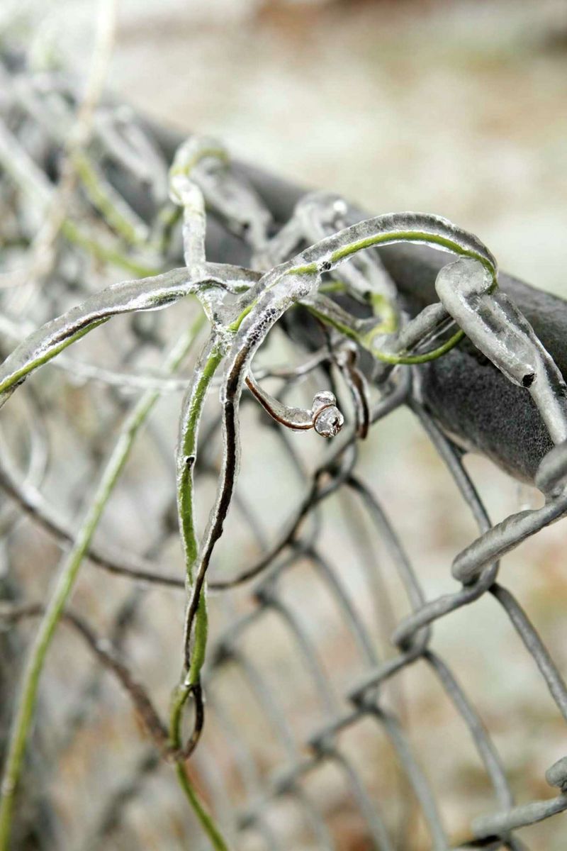 Use the chain-link as a framework, not as a guarantee of coverage