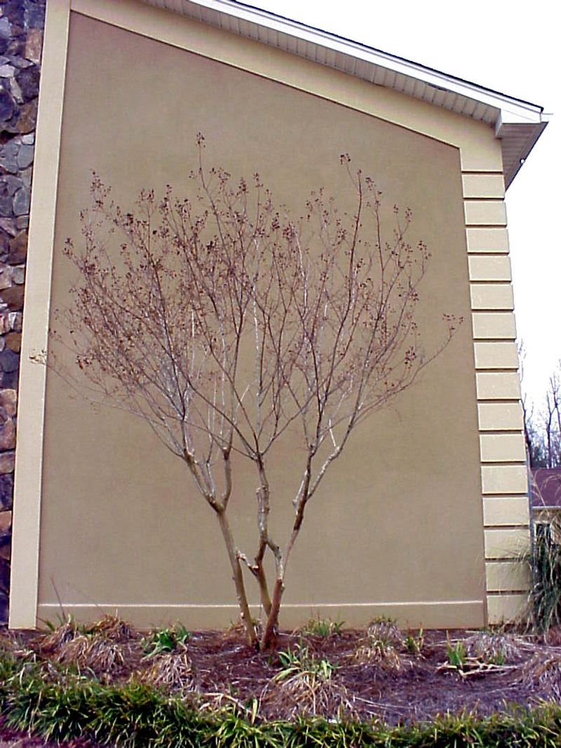 Use the dormant season instead of chasing the first freeze