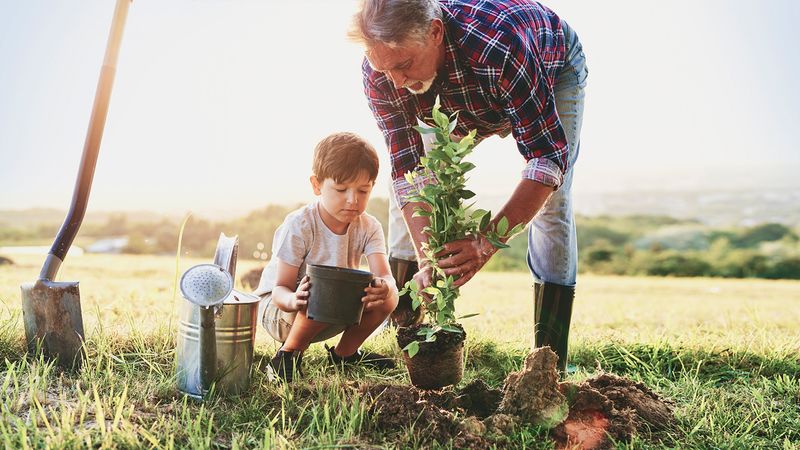 Use the fall planting window without following the calendar blindly