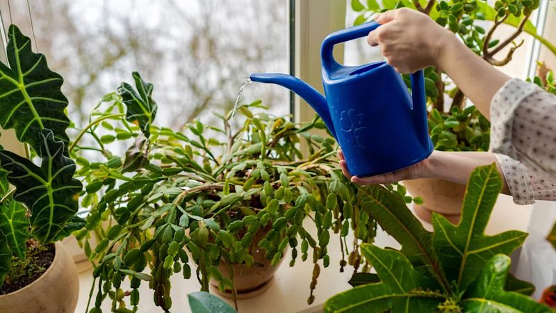 Use the moisture check as your fall decision rule