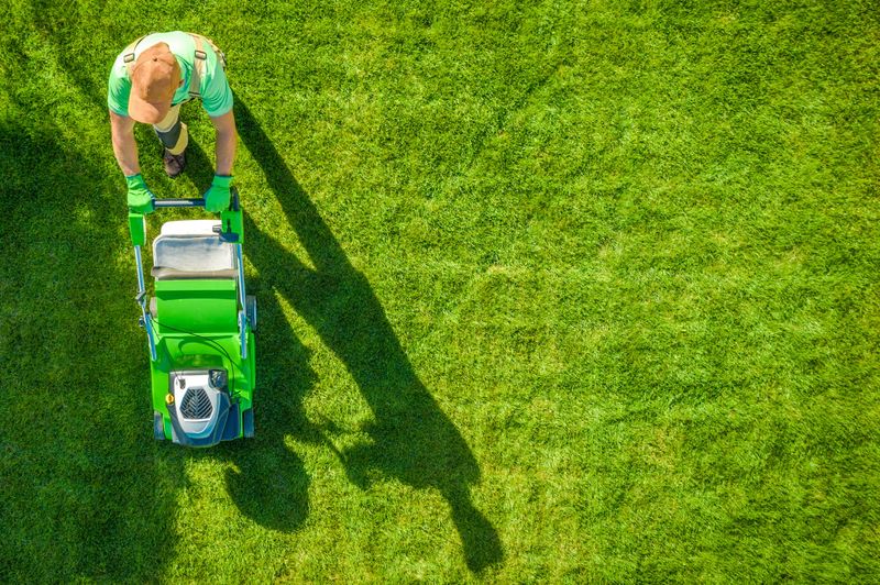 Use the next mowing to protect the canopy