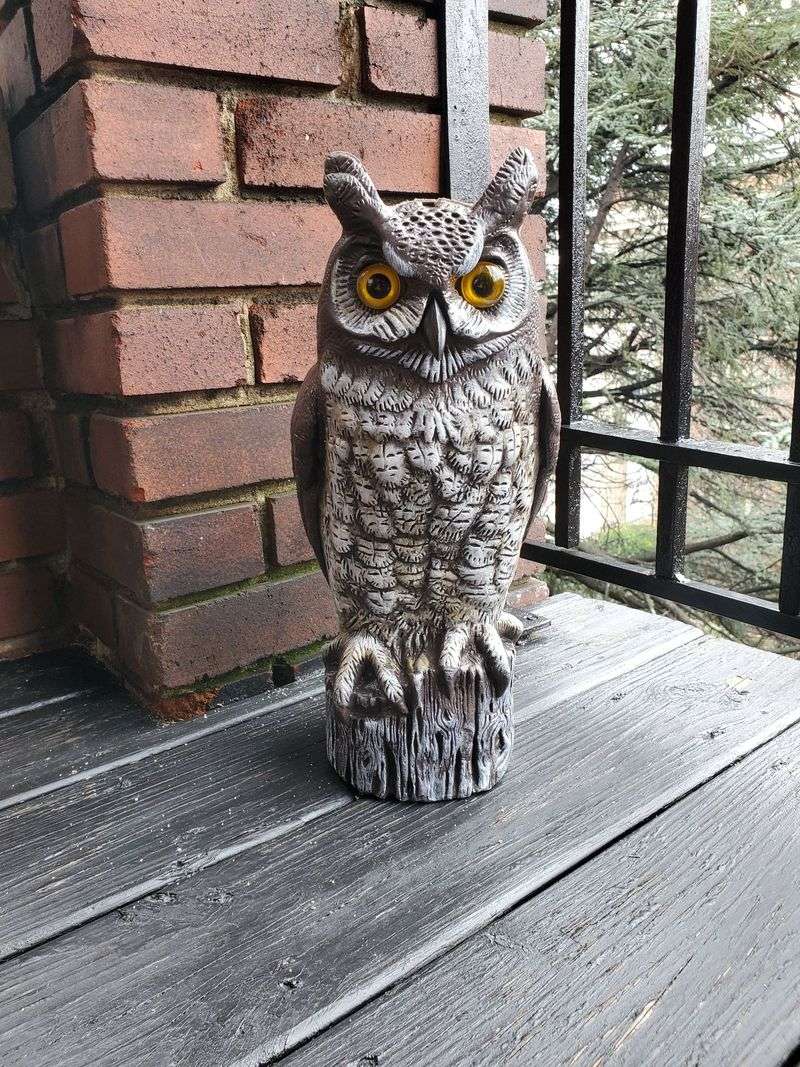 Use the owl as a prompt, then act on evidence Use the owl as a prompt, then act on evidence