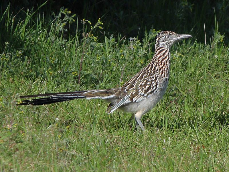 Use the sighting as information, not as a promise