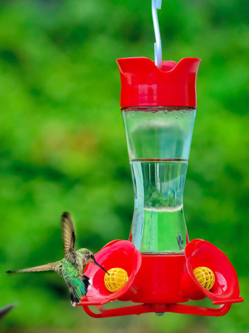 Use the simple feeder checklist Use the simple feeder checklist