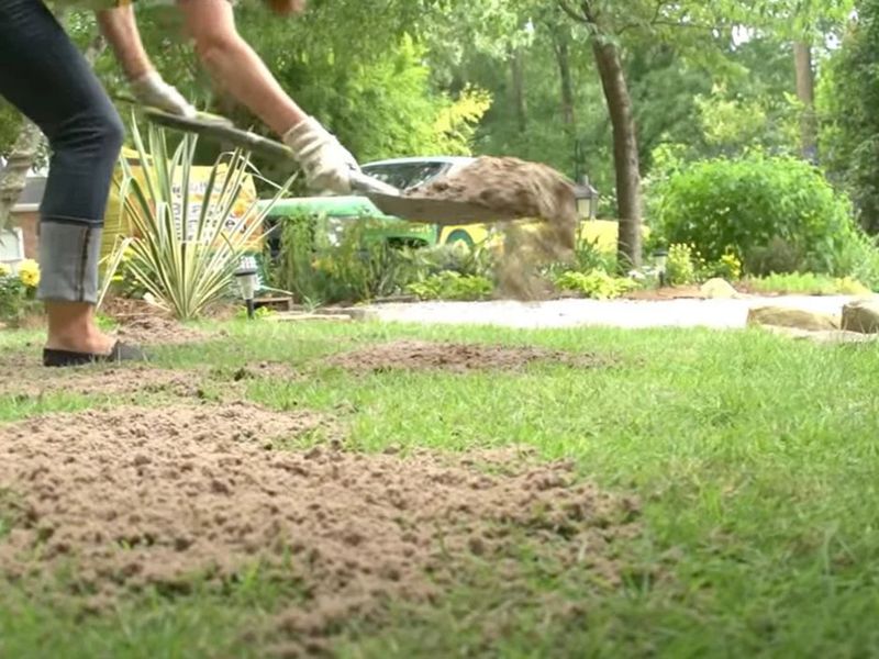 Use thin applications rather than burying the existing lawn Use thin applications rather than burying the existing lawn