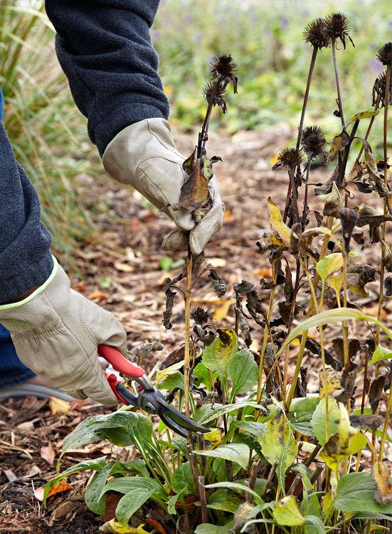 Use this fall decision checklist