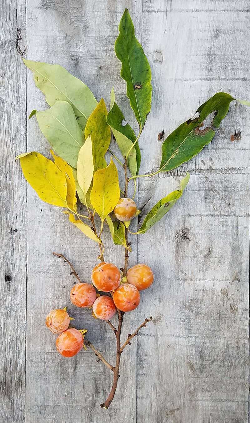 Use this season’s observations to plan next year’s care