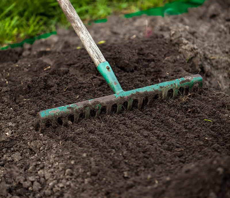 Use this sequence before you blame bare soil