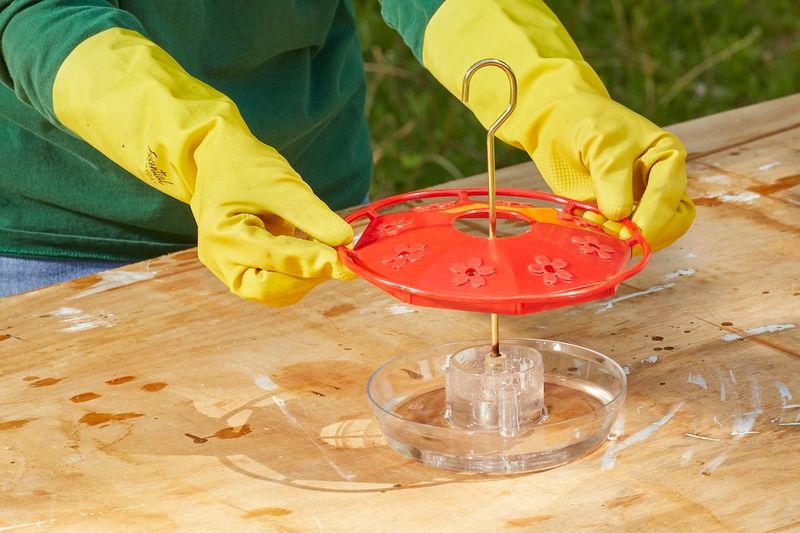 Wash away the trail and repair the feeder