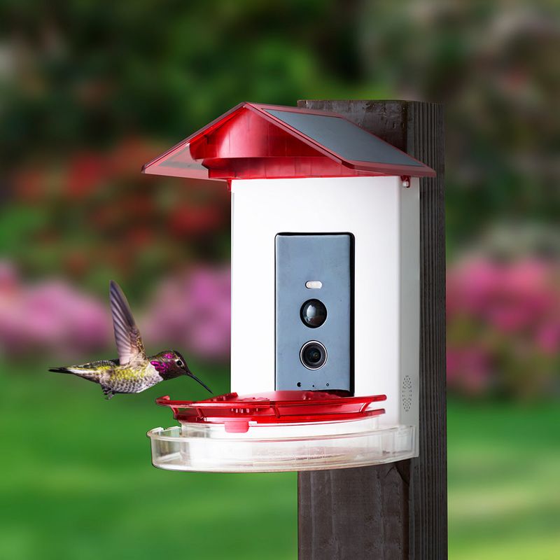Watch or record the feeder before changing the setup