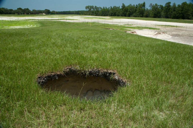Water, Rotting Roots, and Soil Settling After Heavy Rain Water, Rotting Roots, and Soil Settling After Heavy Rain