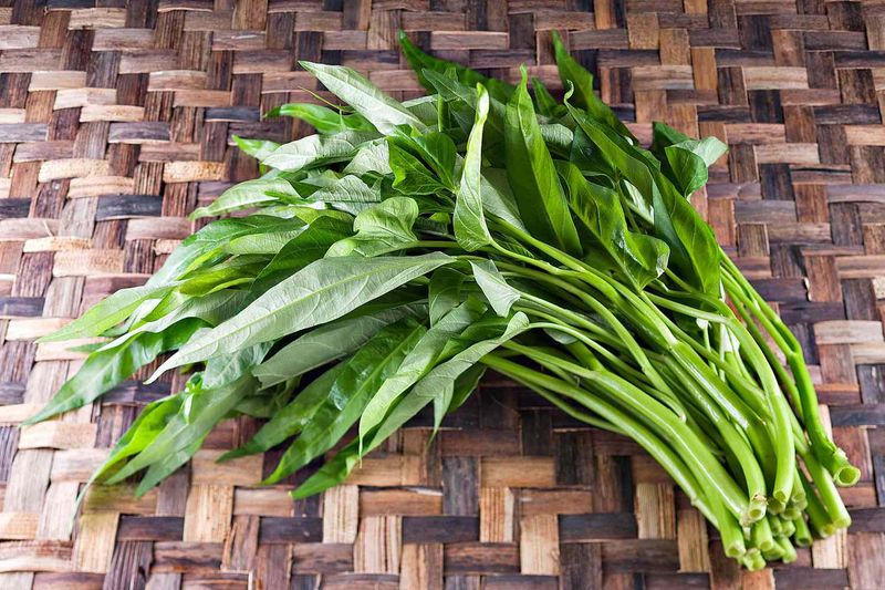 Water Spinach (Kangkong) Water Spinach (Kangkong)