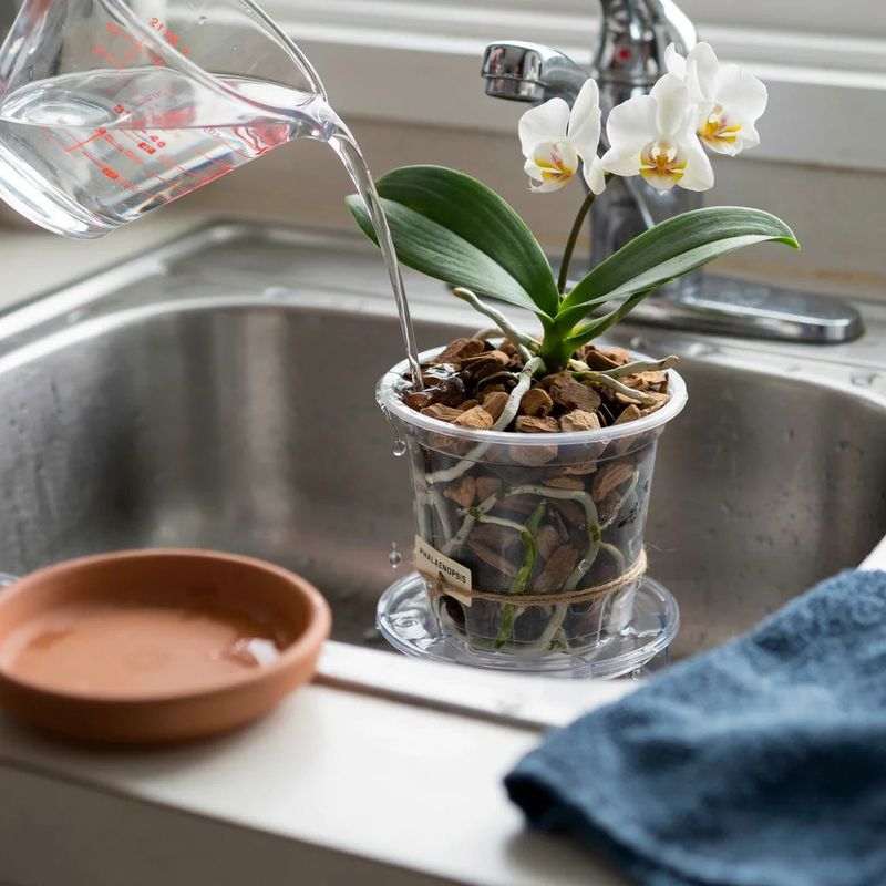 Water by how quickly the pot dries