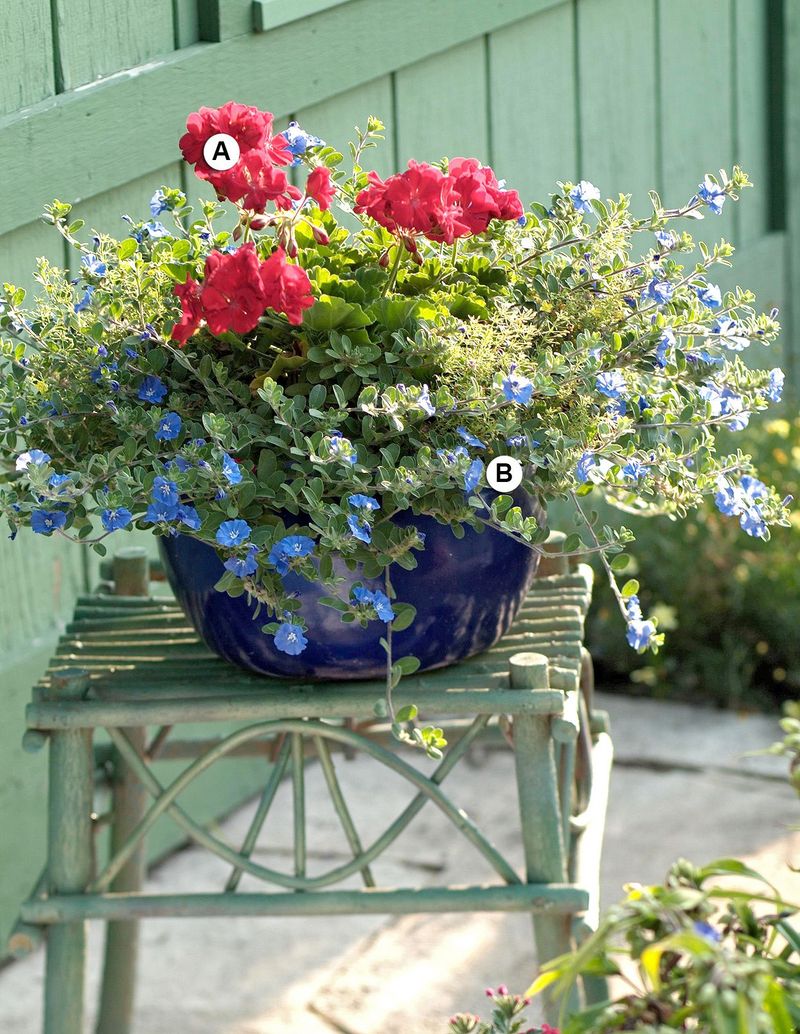 Water by soil condition, not by the flower count