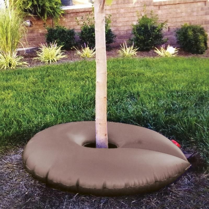 Water for establishment, then protect fruit quality