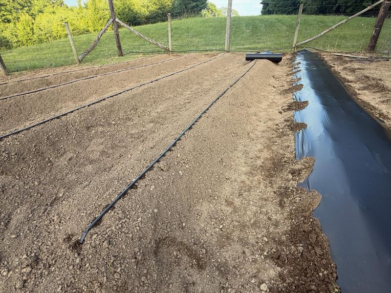 Water for establishment without re-saturating the bed
