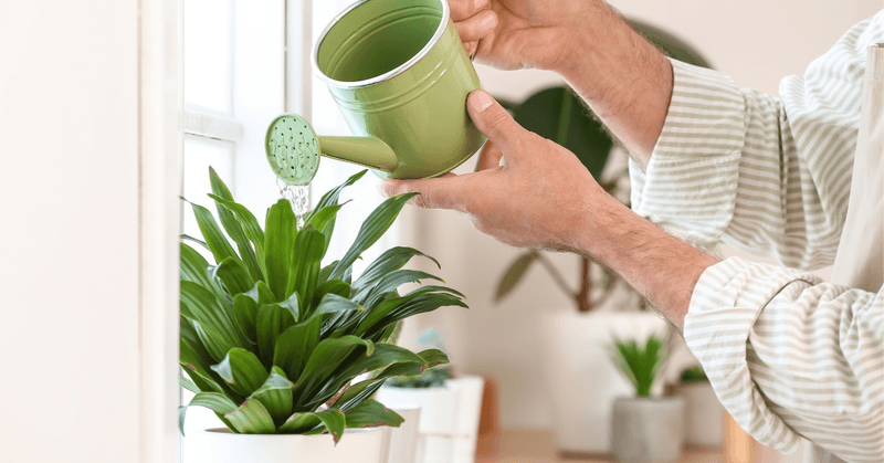 Water less often, not necessarily less thoroughly