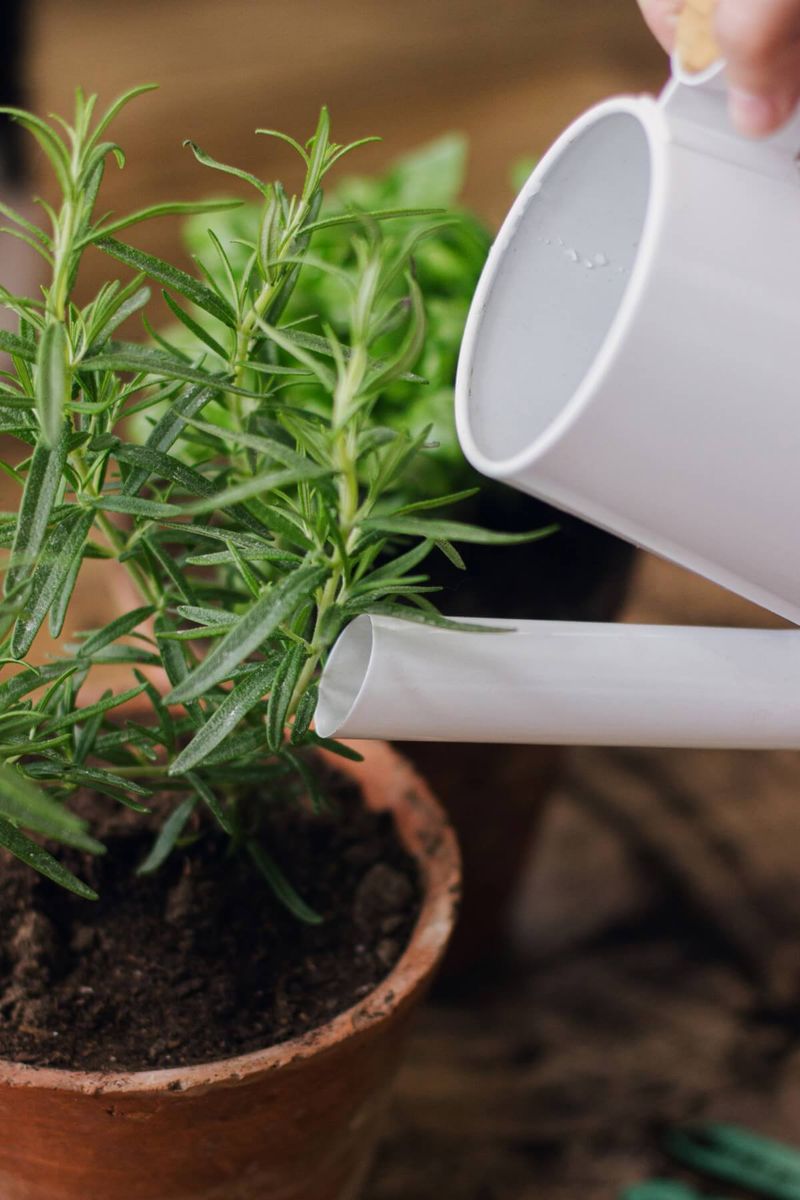 Watering Without Drowning