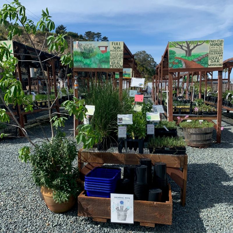 Watershed Nursery (Richmond) Watershed Nursery (Richmond)