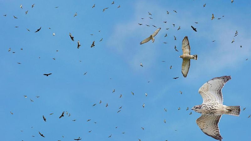 Weather helps make the spectacle visible