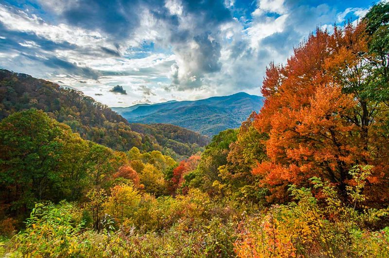 Weather shapes timing, brilliance and how long leaves remain