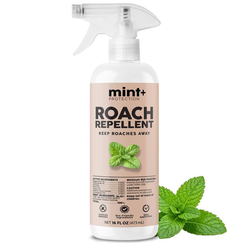 What concentrated mint oils do to some cockroaches