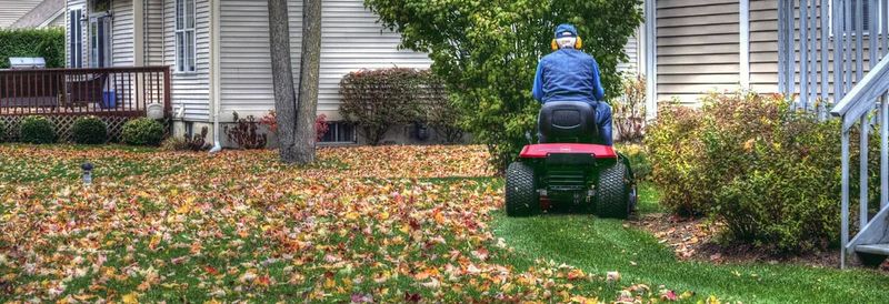 What finely chopped leaves add to the lawn What finely chopped leaves add to the lawn