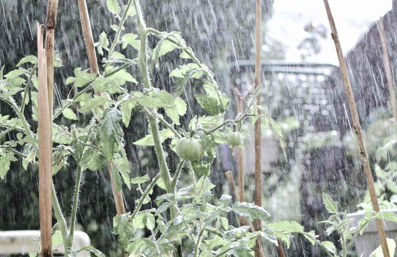 What happens when wet soil runs out of air?