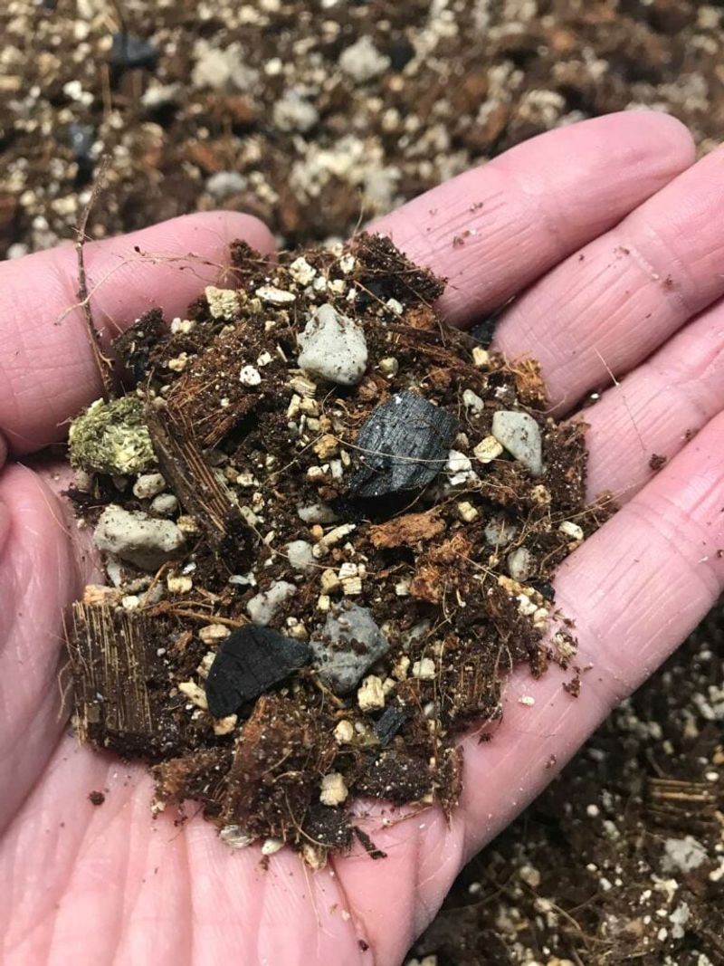 What the Potting Mix Reveals What the Potting Mix Reveals