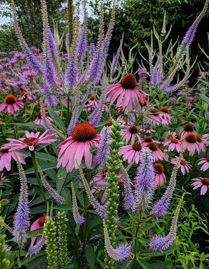 What your flowers and garden layout are already providing