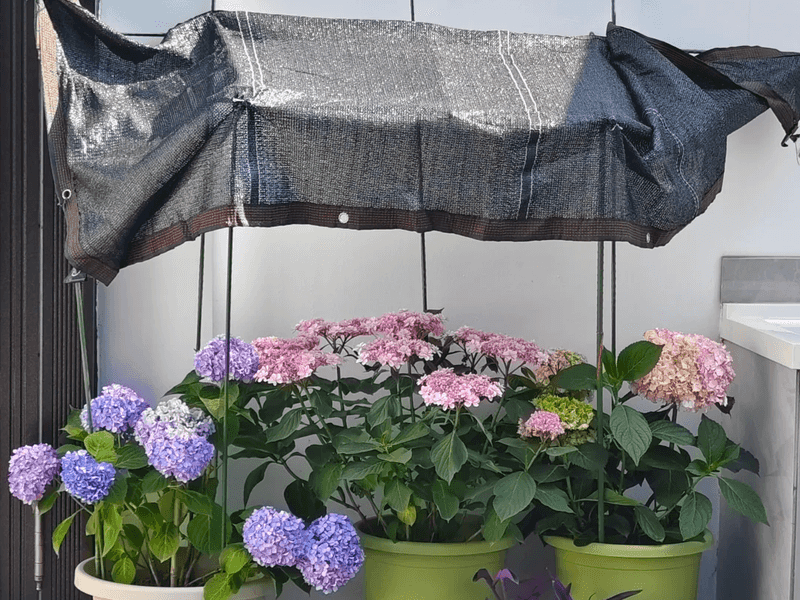 When Moist Soil Means Less Water and Less Heat