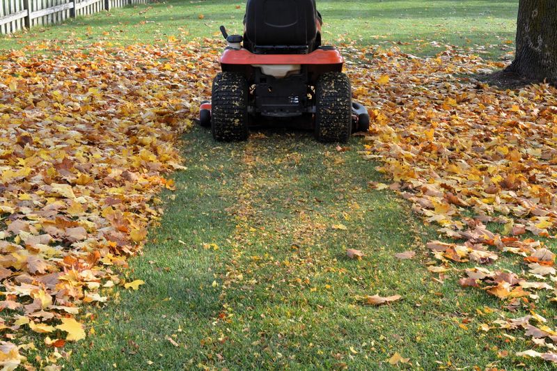 When mowing can replace raking When mowing can replace raking