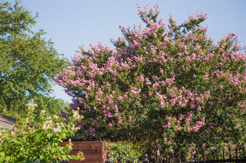 When prompt deadheading may be worth the effort