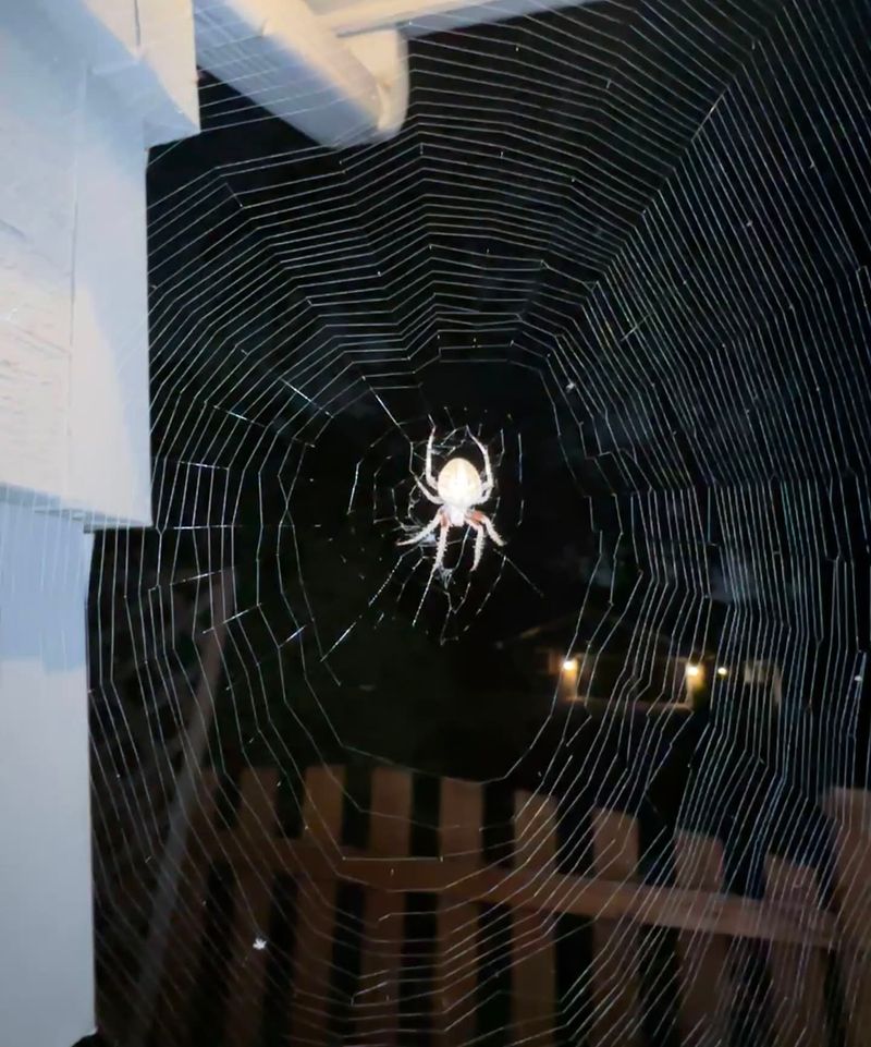 When should you leave the web alone? When should you leave the web alone?