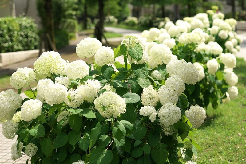 When the type is unknown, preserve the existing stems