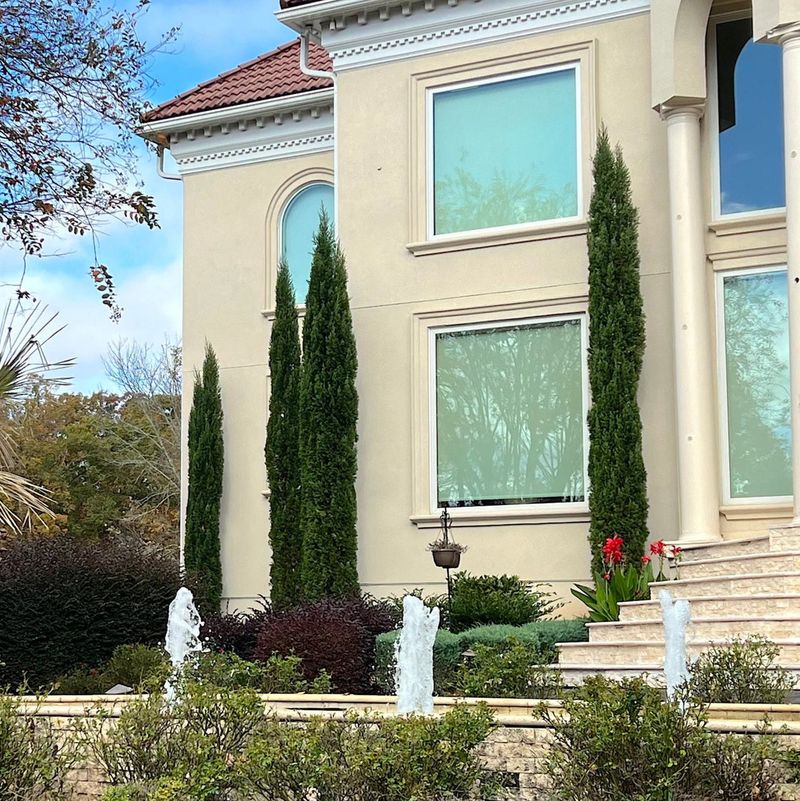 Which Italian cypress placements create the greatest concern?