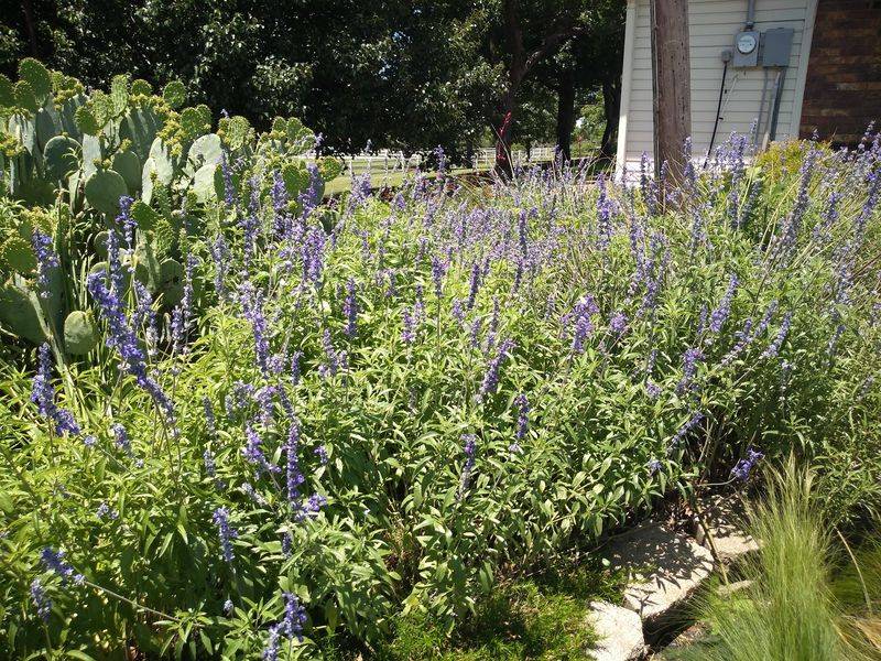 Why This Nursery Is Worth the Trip Why This Nursery Is Worth the Trip