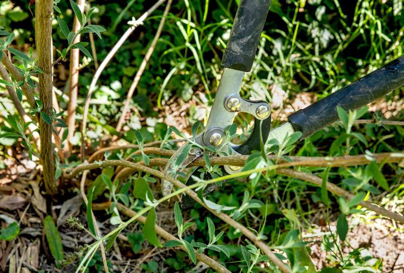 Why a hard fall cut can carry a cold-injury risk Why a hard fall cut can carry a cold-injury risk