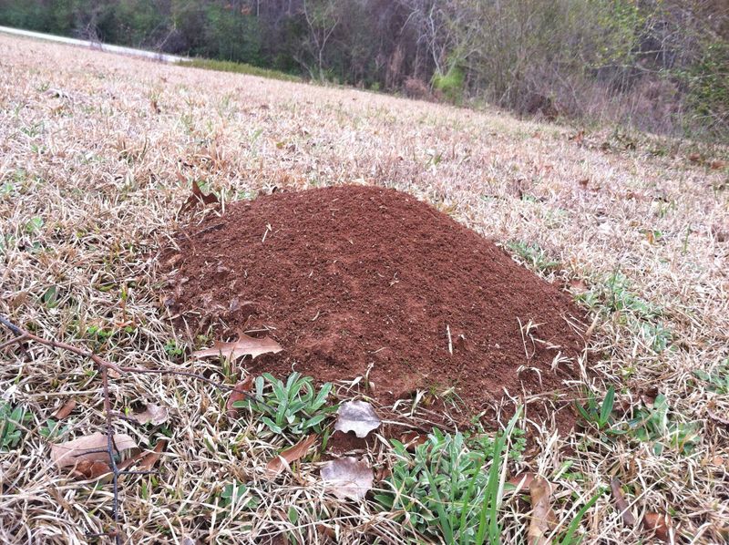 Why fall can help reduce spring problems