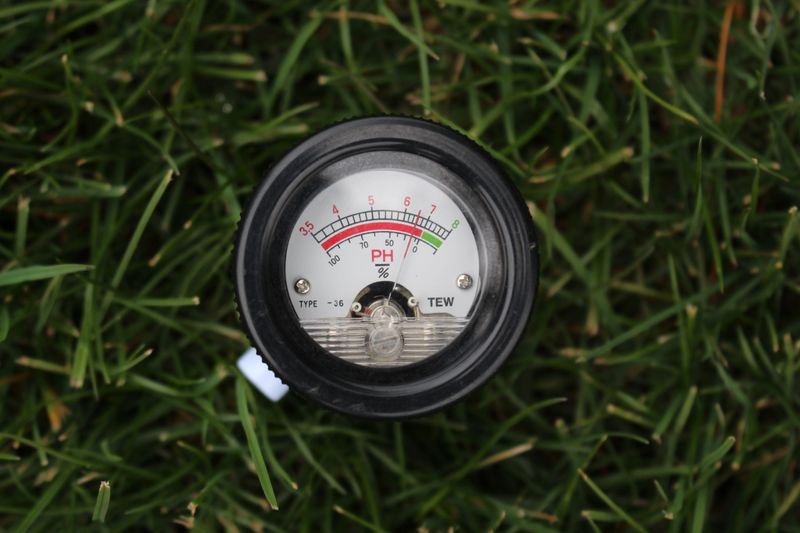 Why fall testing can give amendments a head start